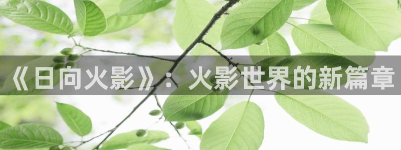囧次元官方正版app：《日向火影》：火影世界的新篇章