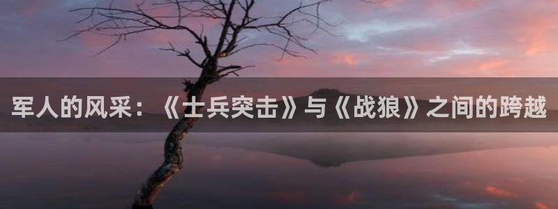 囧次元官方下载：军人的风采：《士兵突击》与《战狼》之间的跨越