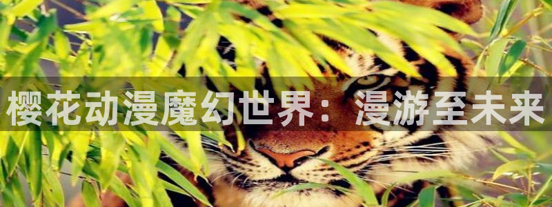 囧次元官方：樱花动漫魔幻世界：漫游至未来