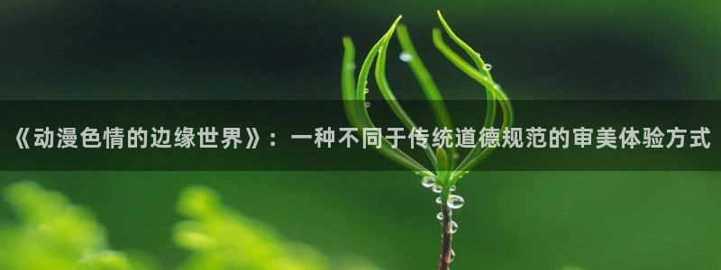 囧次元(原樱花动漫)：《动漫色情的边缘世界》：一种不同于传统道德规范的审美体验方式