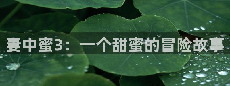 囧次元动漫app下载：妻中蜜3：一个甜蜜的冒险故事