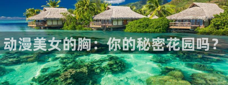 囧次元下载最新：动漫美女的胸：你的秘密花园吗？