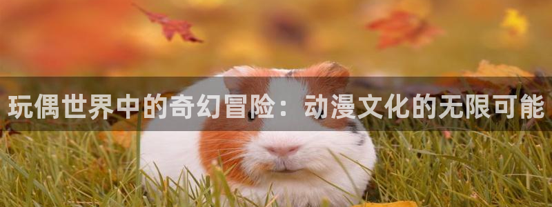 囧次元.apk：玩偶世界中的奇幻冒险：动漫文化的无限可能