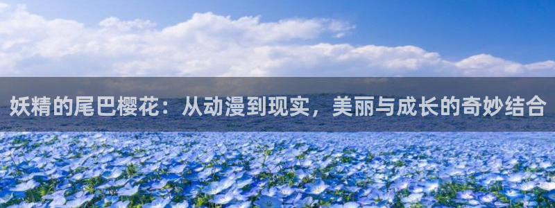 囧囧次元：妖精的尾巴樱花：从动漫到现实，美丽与成长的奇妙结合